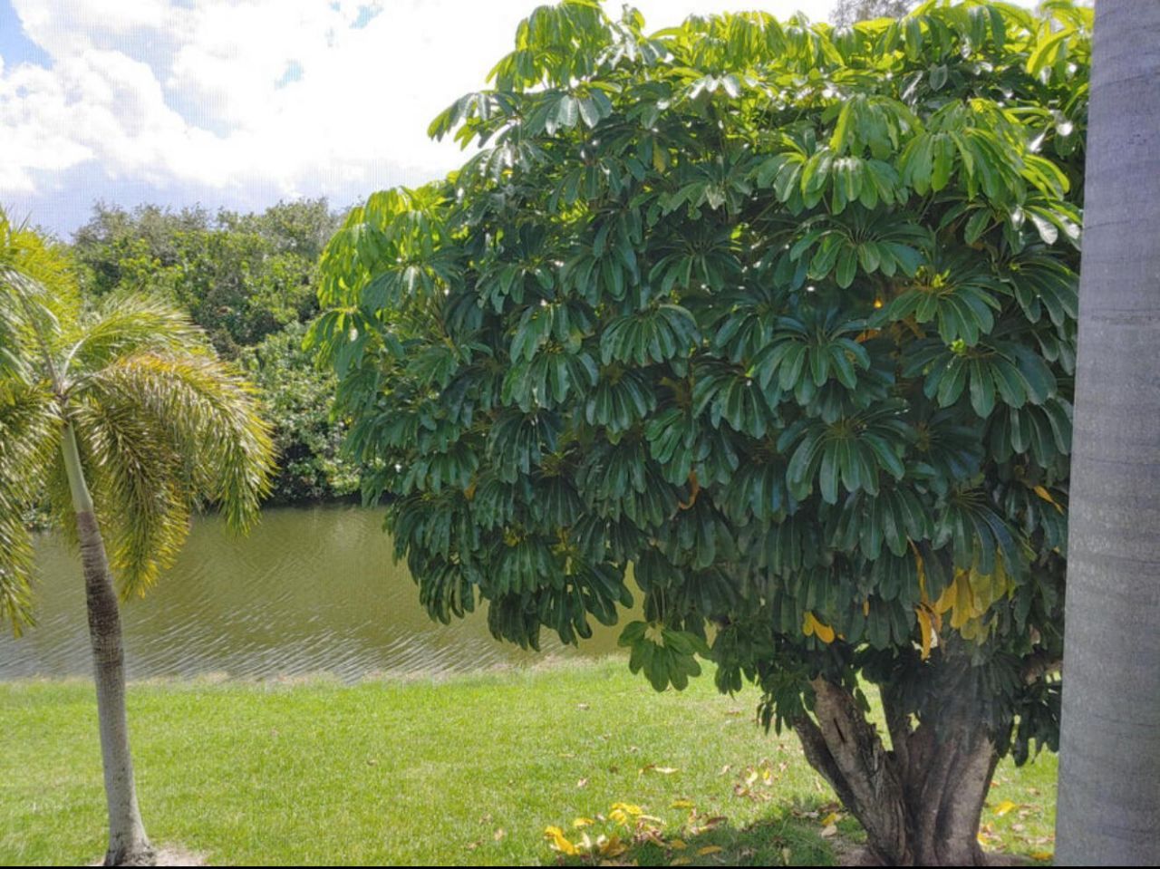 63 Windsor C, West Palm Beach, FL 33417 Photo
