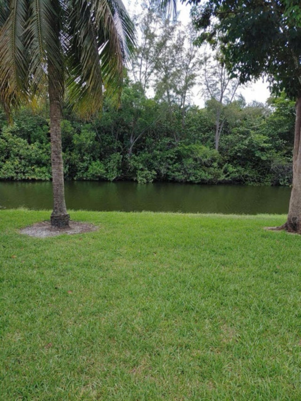 63 Windsor C, West Palm Beach, FL 33417 Photo