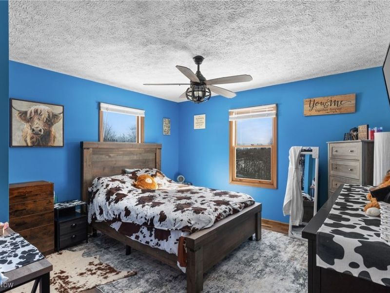 62229 Ray Ramsey Road, Jacobsburg, OH 43933 Photo 13