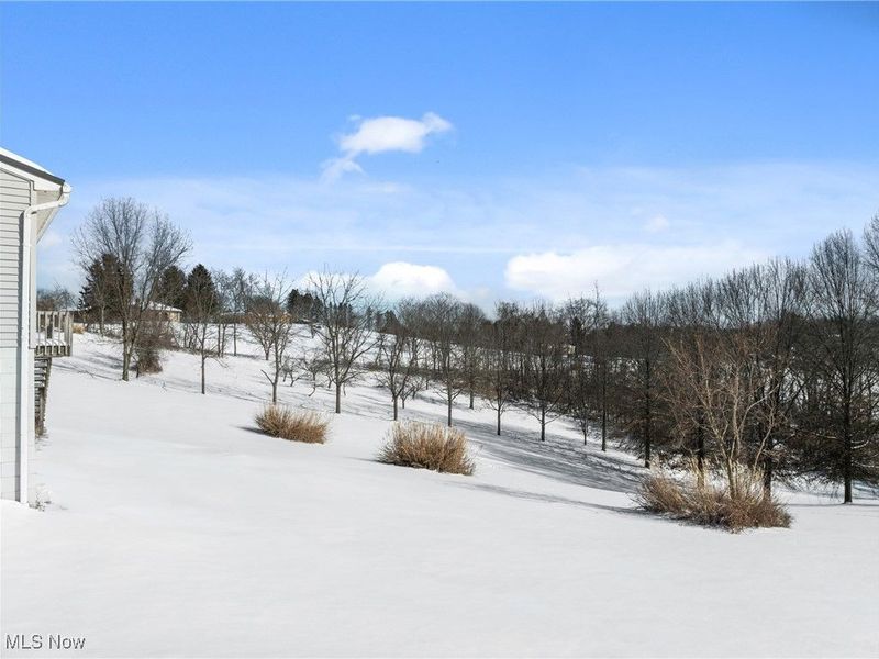 62229 Ray Ramsey Road, Jacobsburg, OH 43933 Photo 25