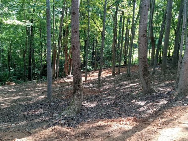 0 Leeward DR, Moneta, VA 24121