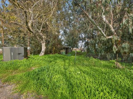 27350 Thornton Rd, Thornton, CA 95686 Photo