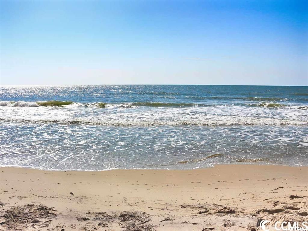 1529 Virgo Ln. Photo 40