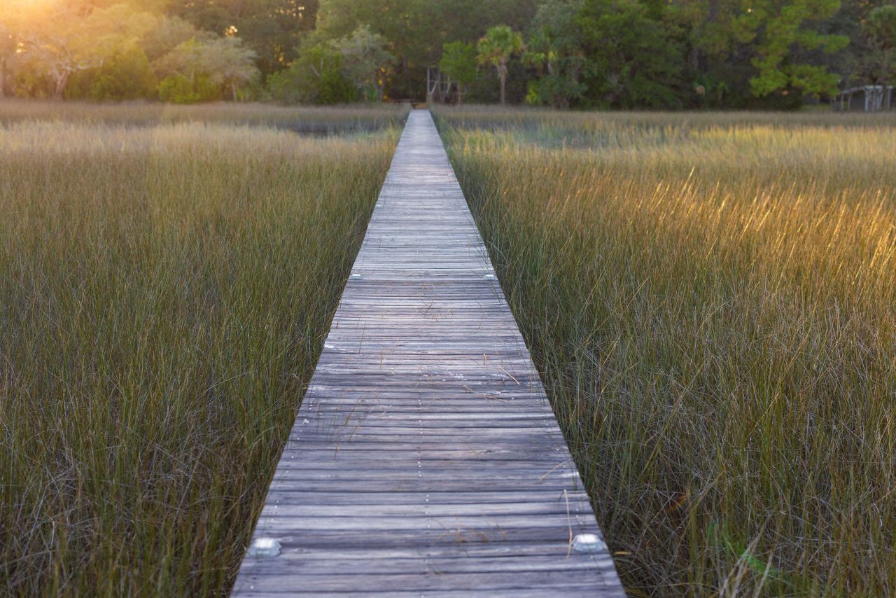 1406 Marshwind Island Road Photo 34