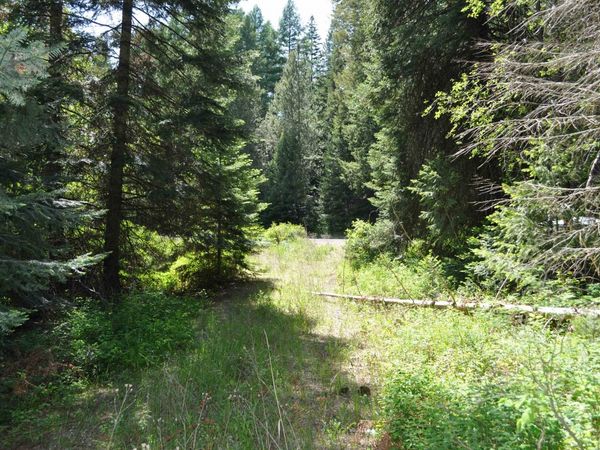 346XX N Regal Ln, Deer Park, WA 99006