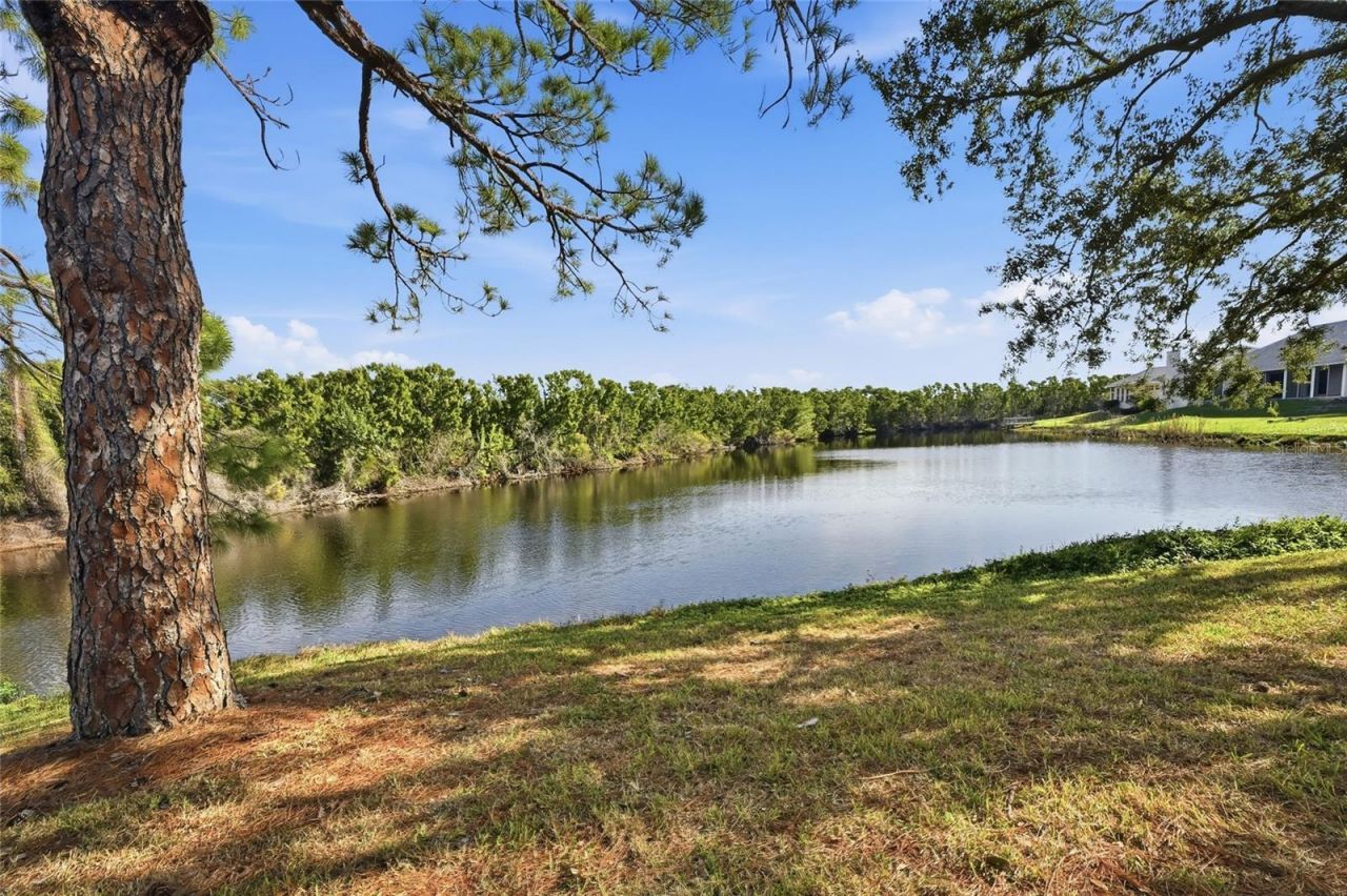 321 108th Street W, Unit 120, Bradenton, FL 34209 Photo