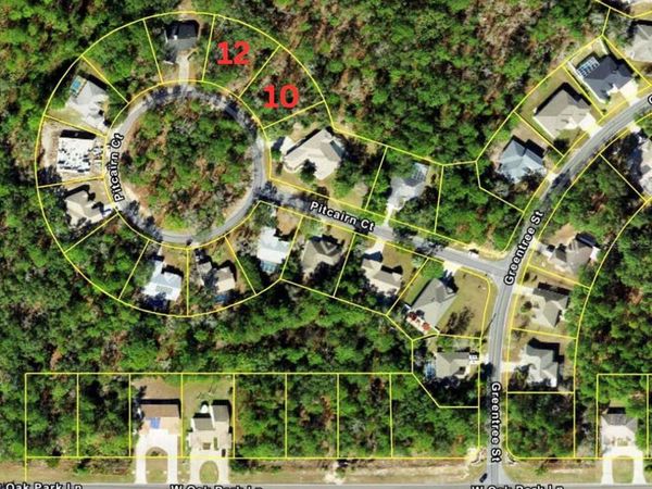 10 PITCAIRN COURT, HOMOSASSA, FL 34446