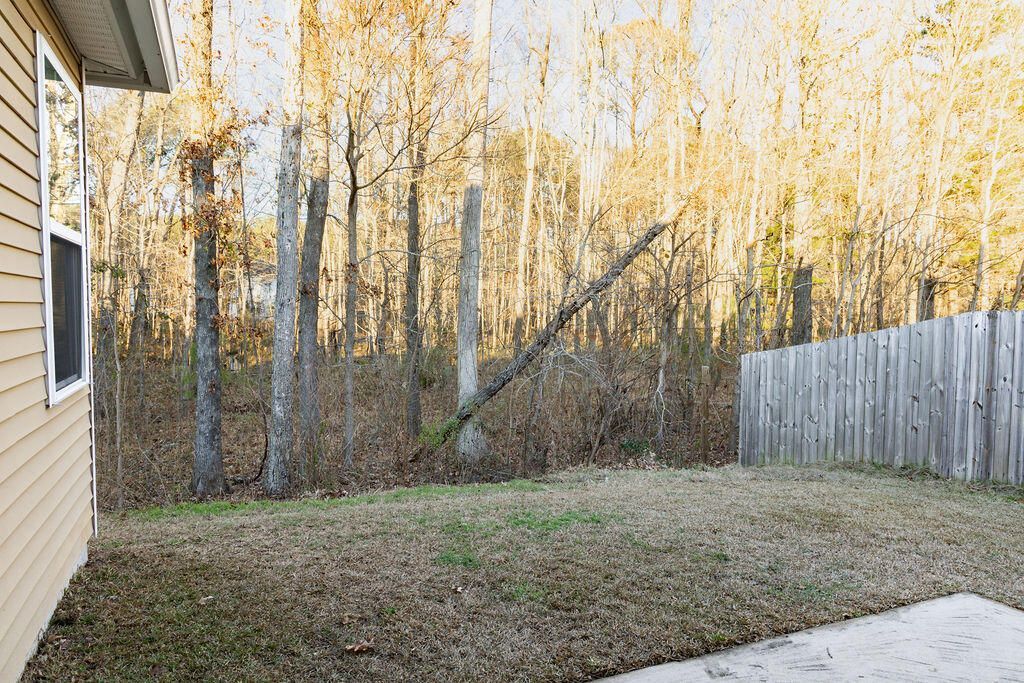 543 Man O War Lane Photo 28