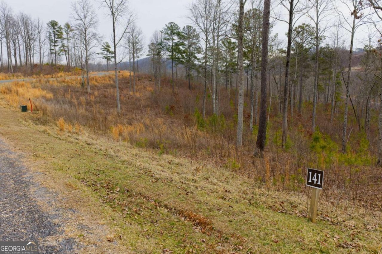 Lot 141 Twisted Oak Road, Talking Rock, GA 30175 Main Photo