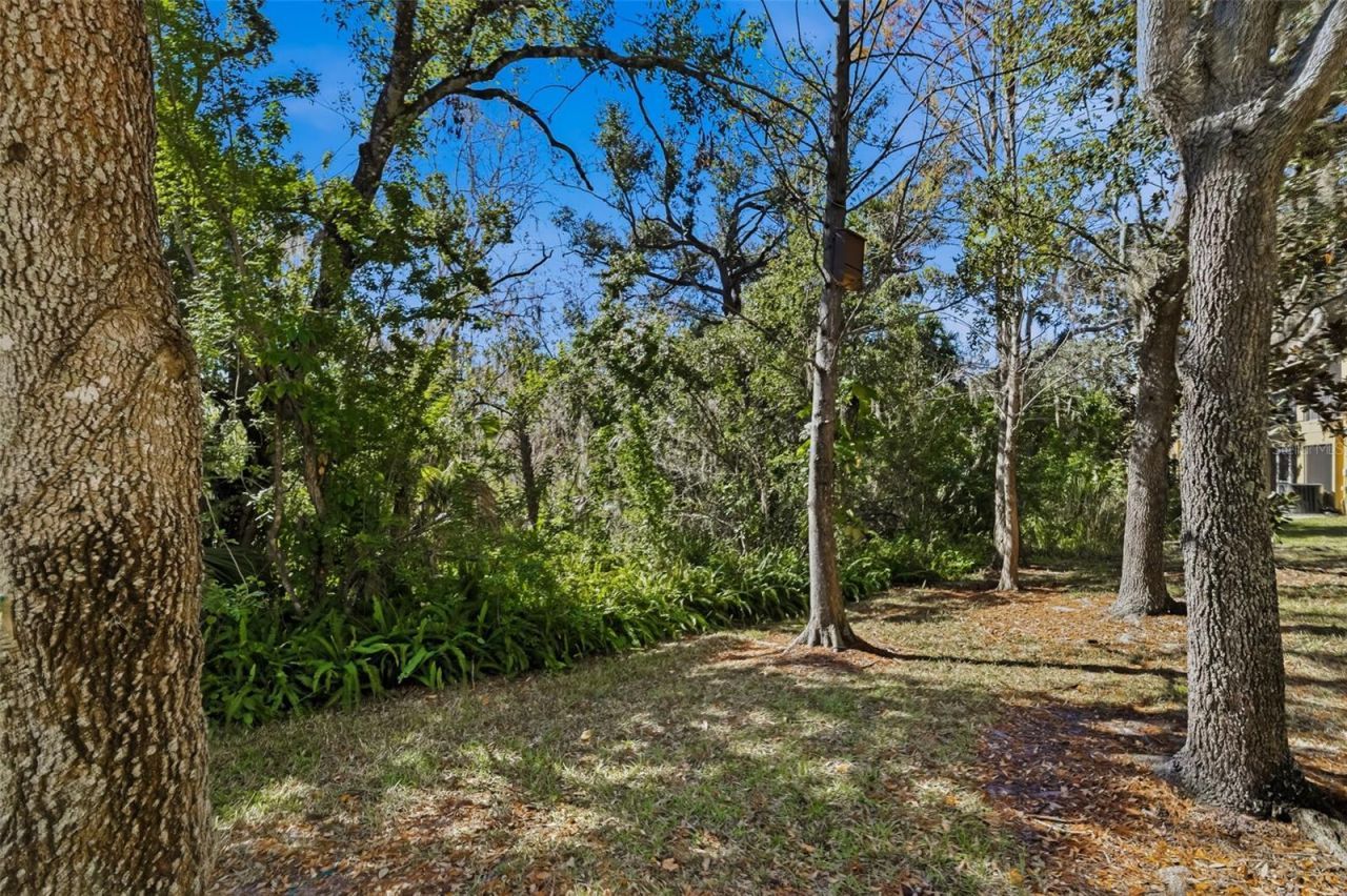 8666 Majestic Elm Court, Unit 8666, Lakewood Ranch, FL 34202 Photo