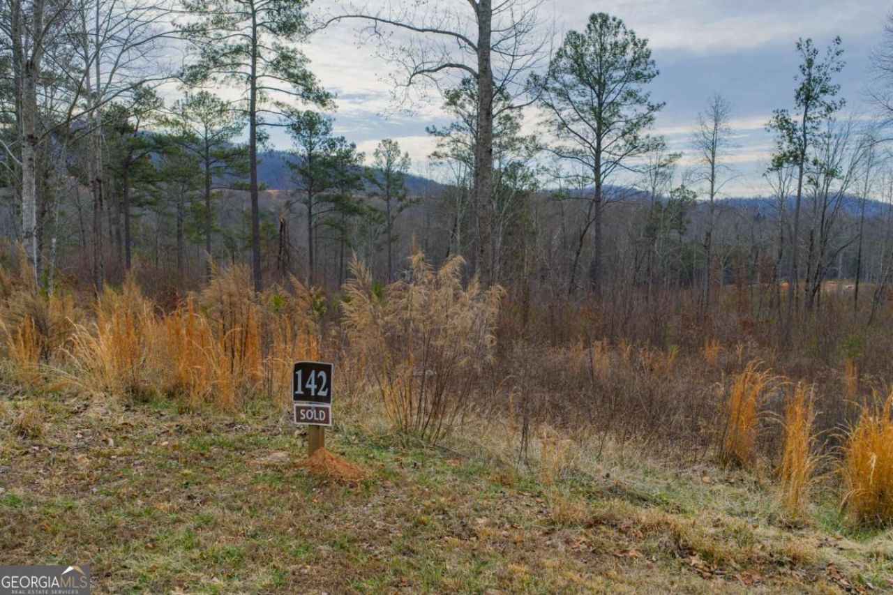 Lot 142 Twisted Oak Road, Talking Rock, GA 30175 Main Photo