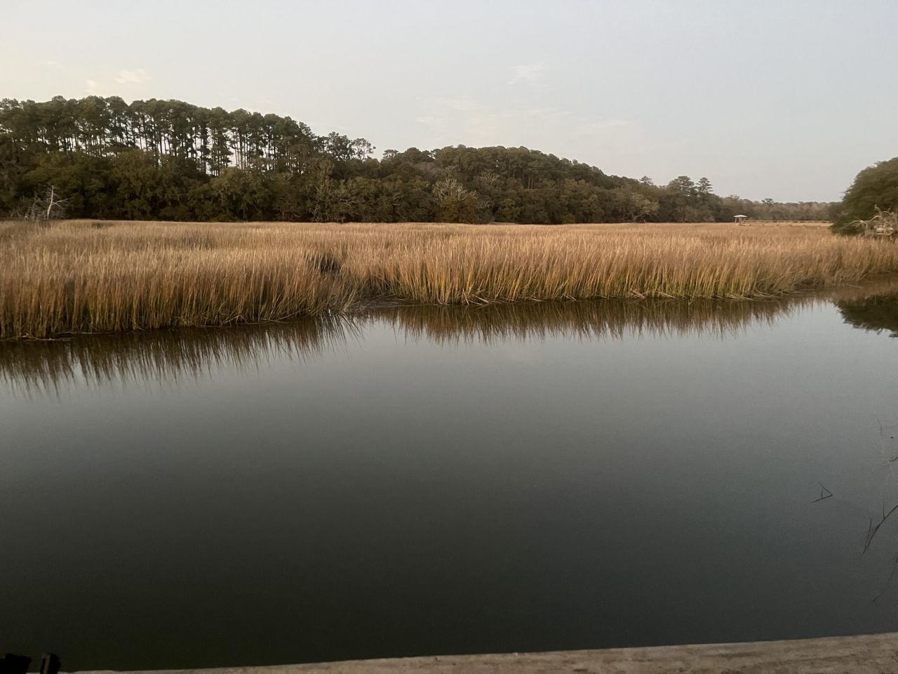 8374 Chisolm Plantation Road Photo 49