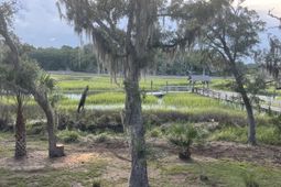 8374 Chisolm Plantation Road photo 4