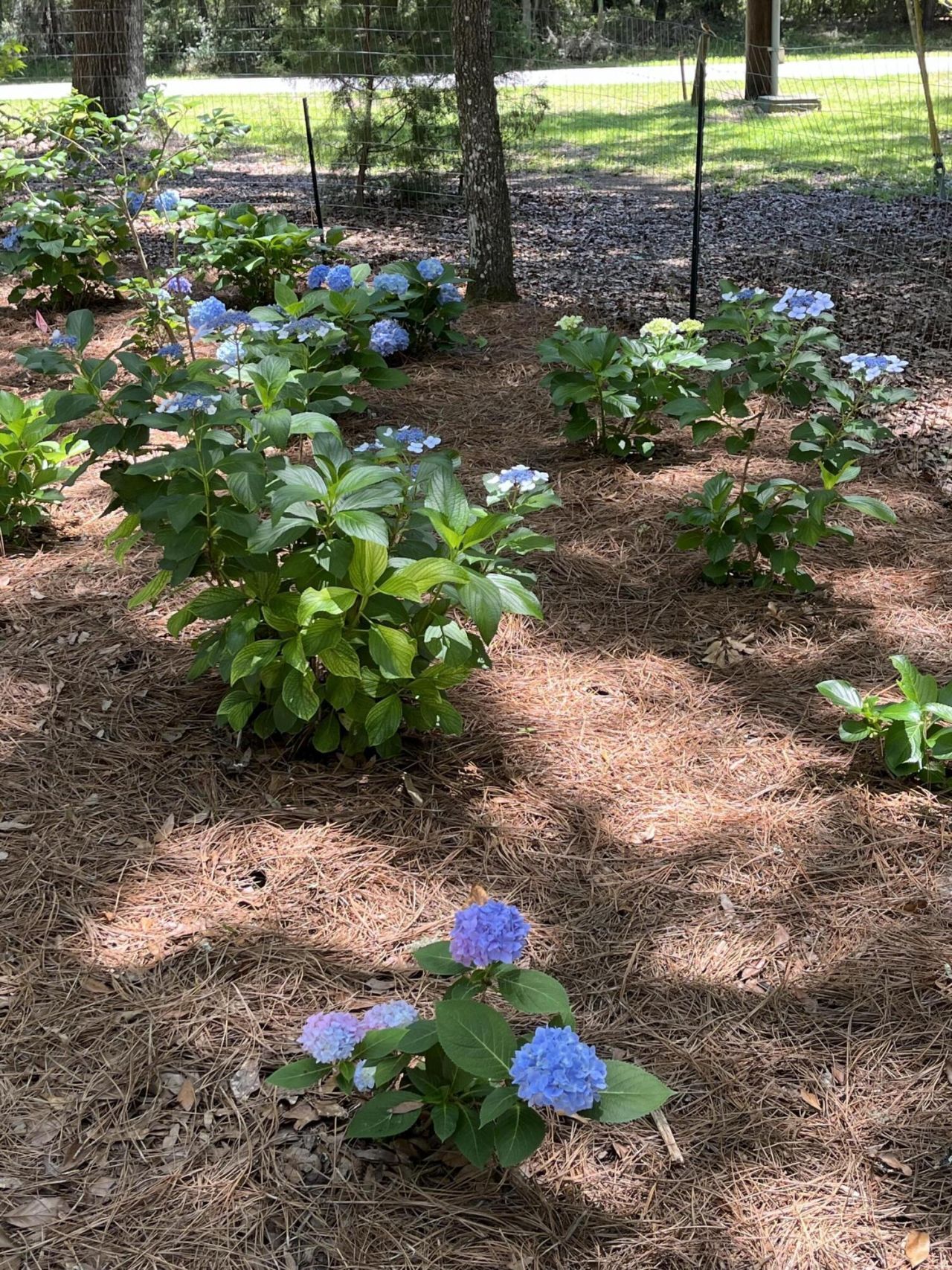 8374 Chisolm Plantation Road Photo 62