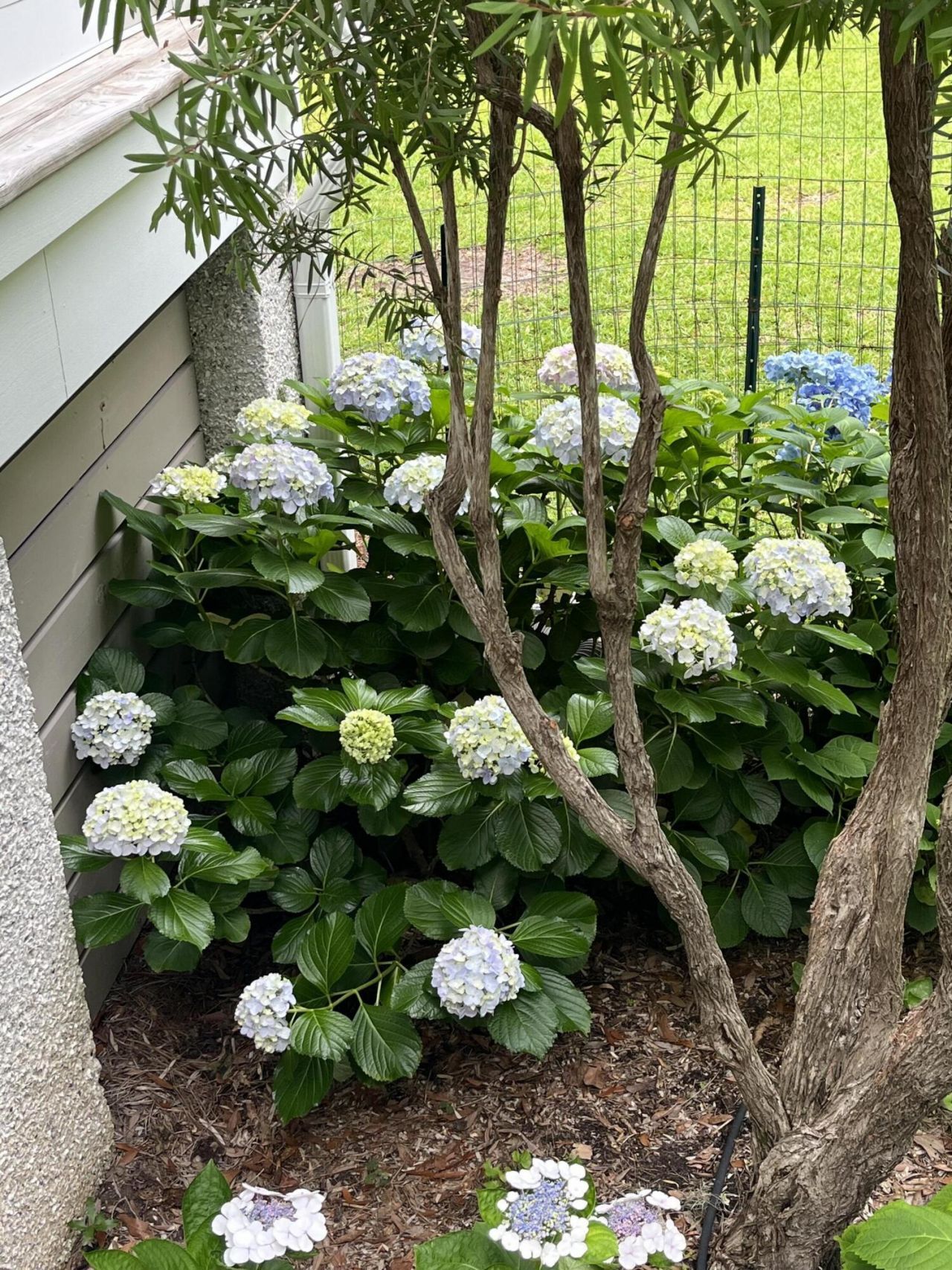 8374 Chisolm Plantation Road Photo 63