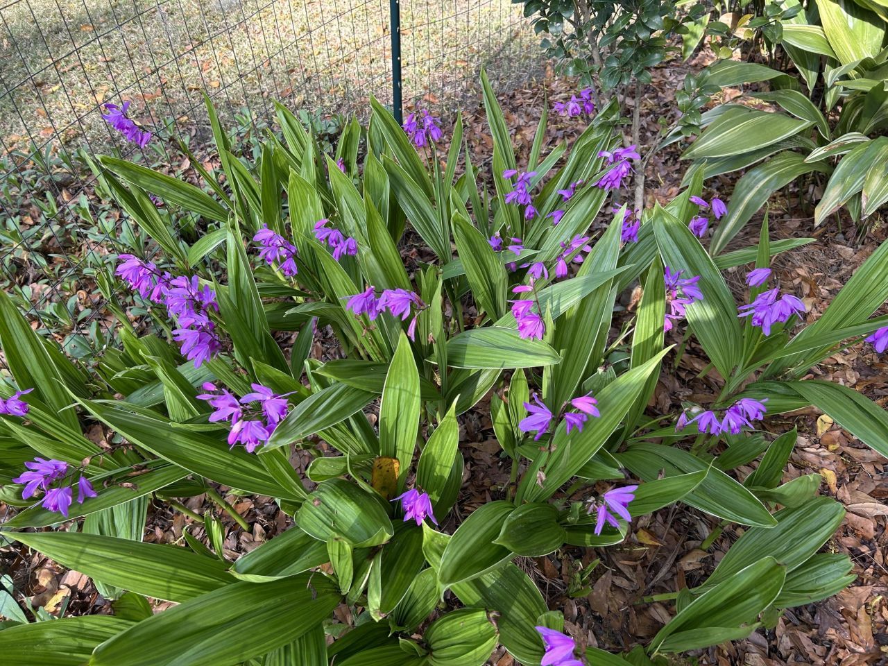 8374 Chisolm Plantation Road Photo 64