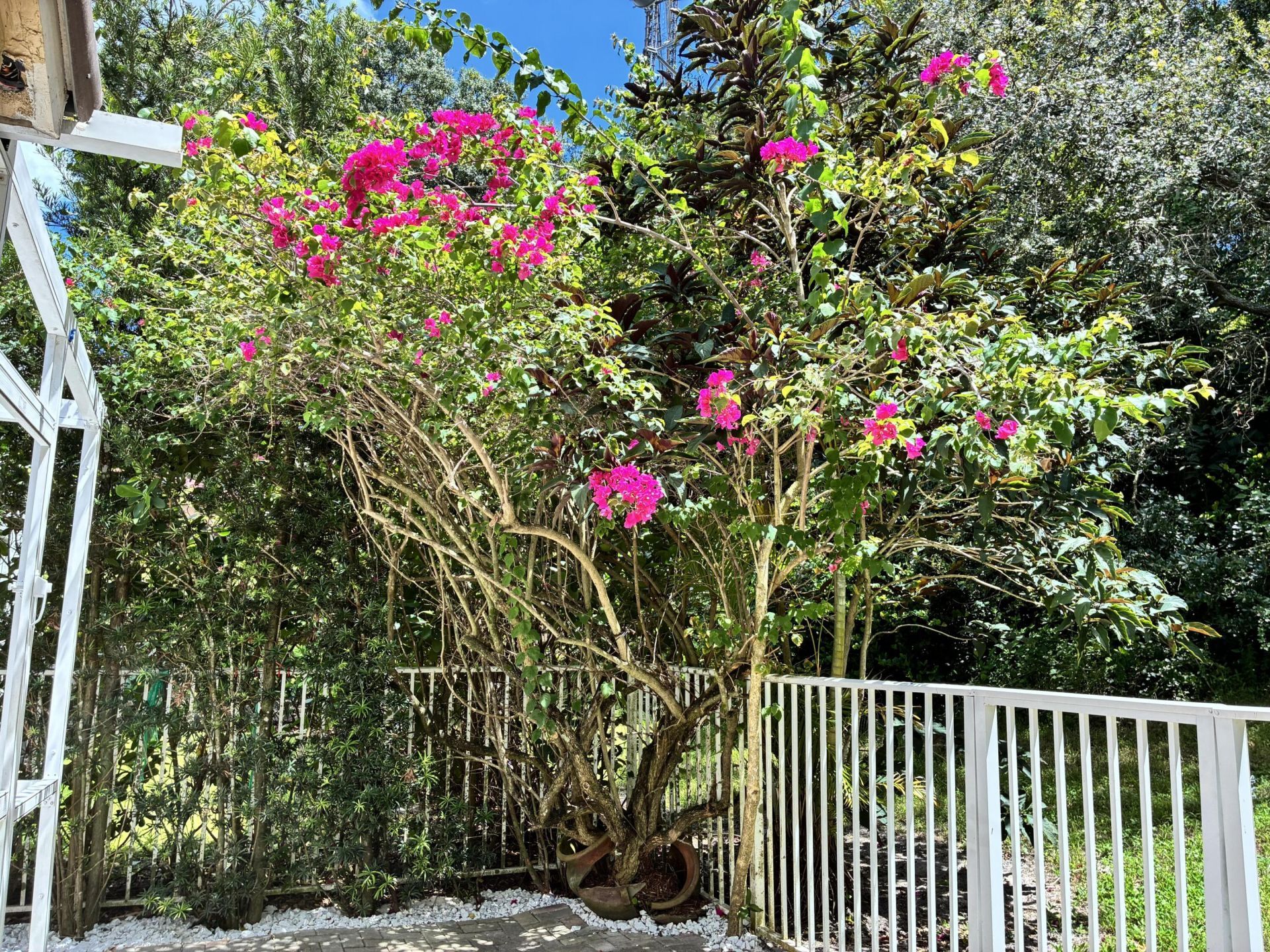 5852 Eagle Cay Terrace, Coconut Creek, FL 33073 Photo