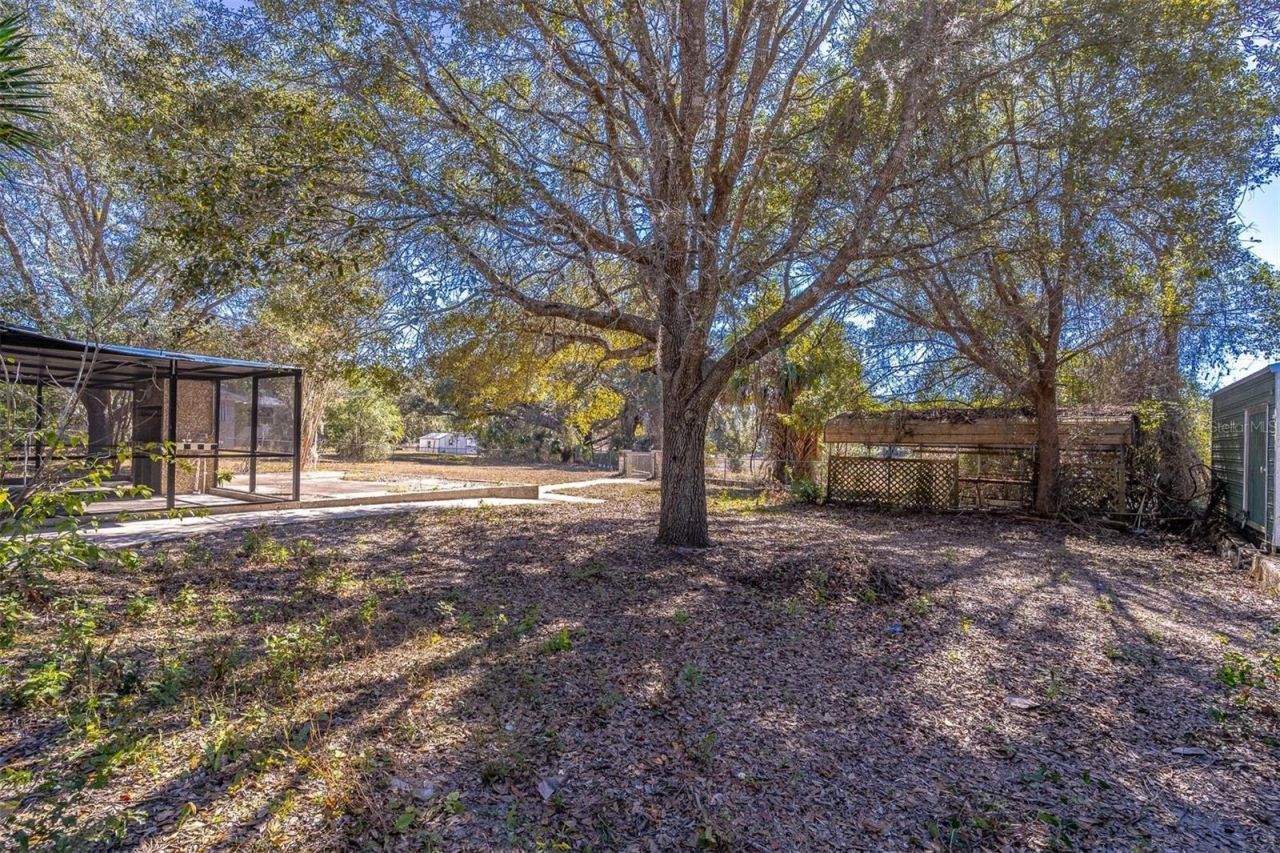 16880 SE 63rd Lane, Ocklawaha, FL 32179 Photo