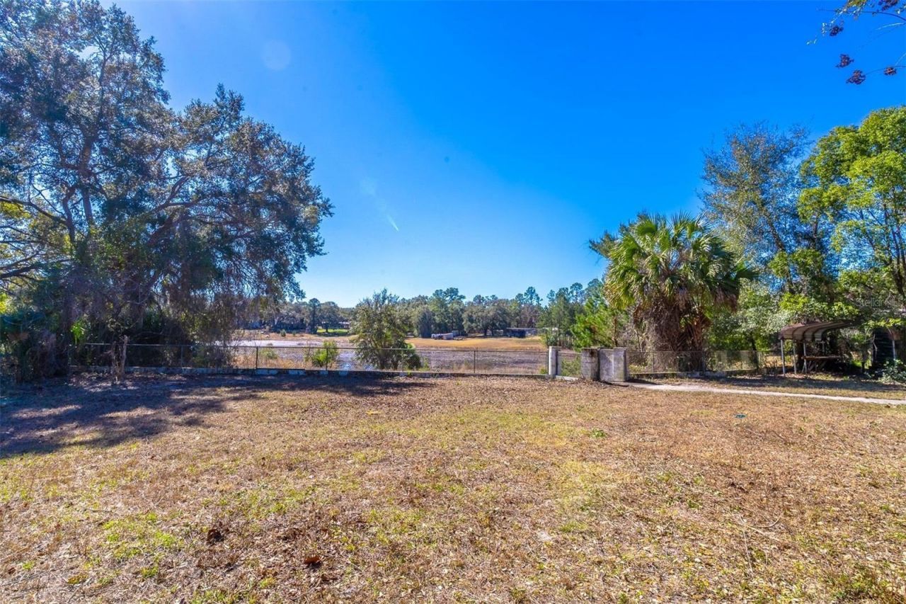 16880 SE 63rd Lane, Ocklawaha, FL 32179 Photo
