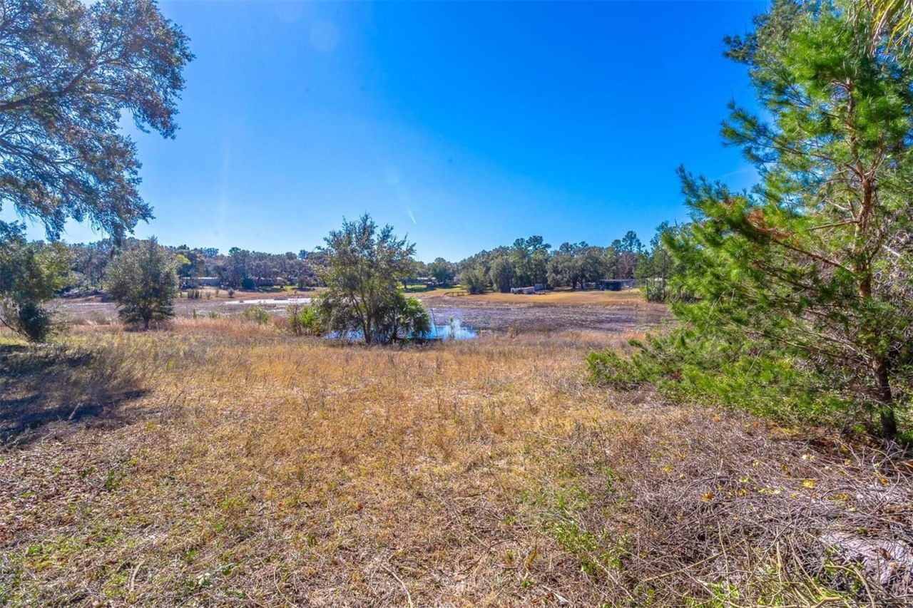 16880 SE 63rd Lane, Ocklawaha, FL 32179 Photo