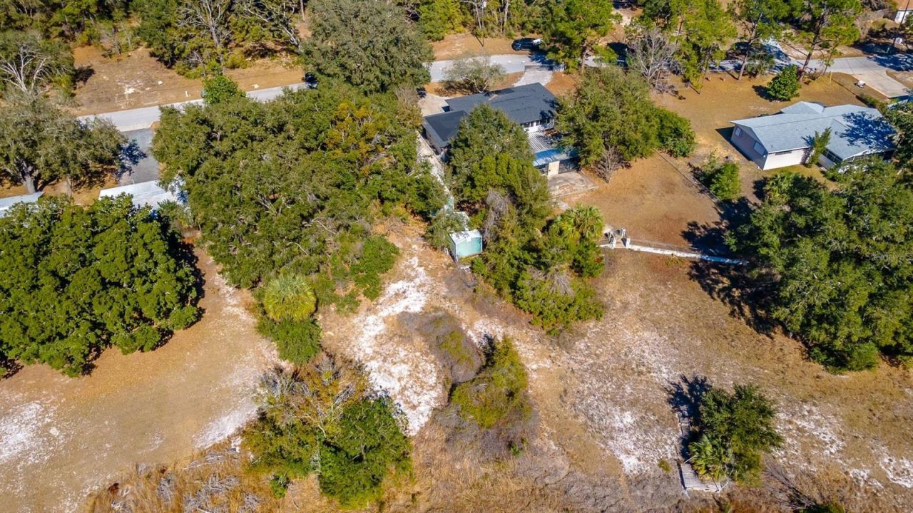 16880 SE 63rd Lane, Ocklawaha, FL 32179 Photo