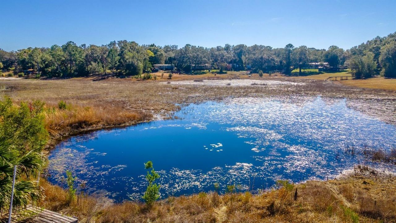 16880 SE 63rd Lane, Ocklawaha, FL 32179 Photo