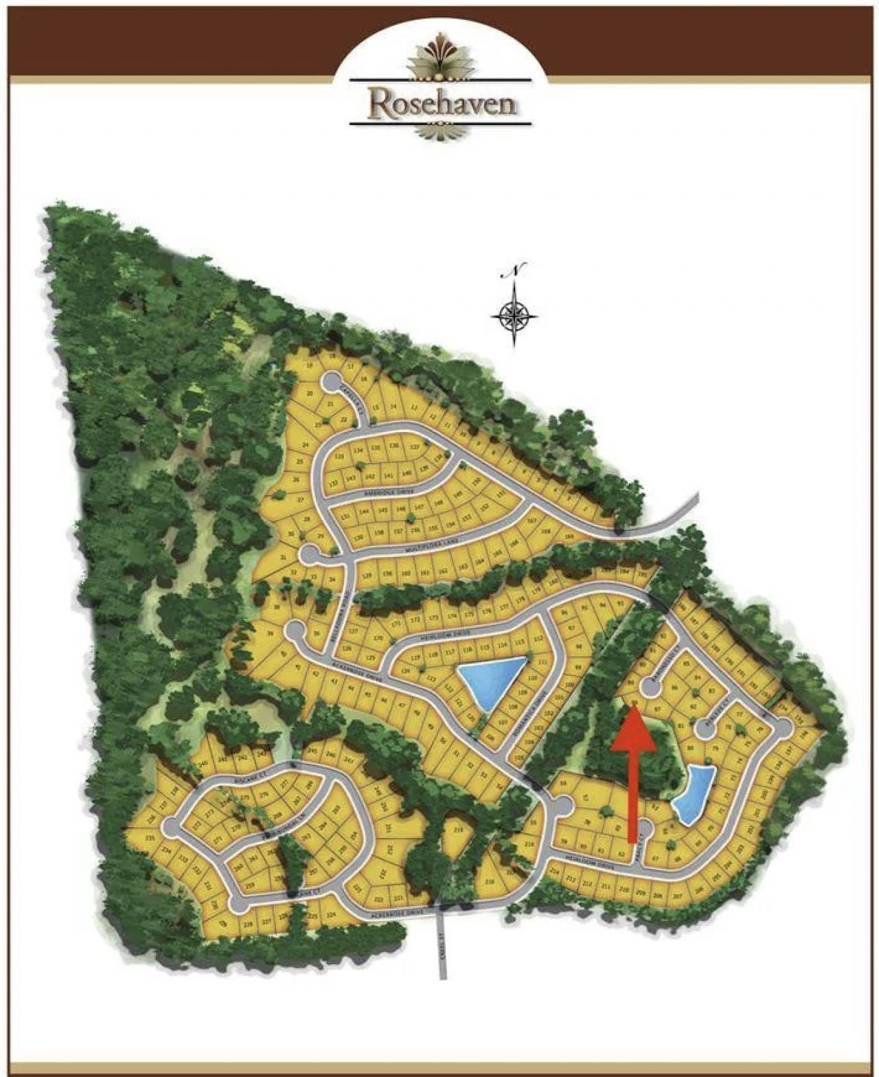 2524 Baronesso Ct. Photo 58