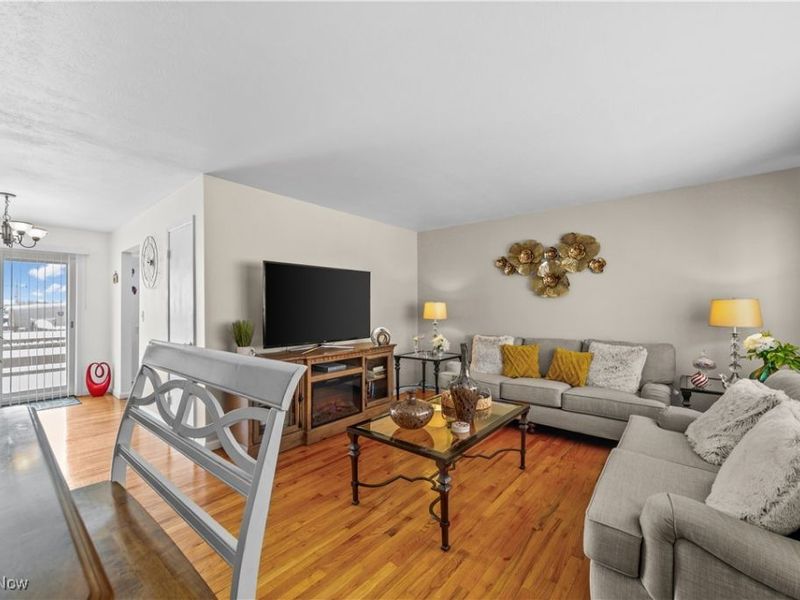 1209 Birch Lane, Cleveland, OH 44109 Photo 3