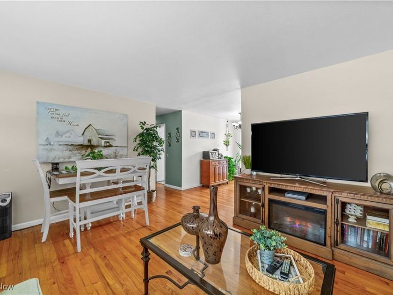 1209 Birch Lane, Cleveland, OH 44109 Photo 6