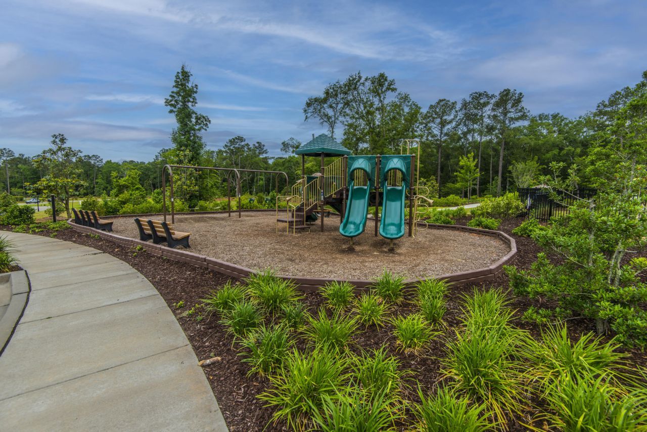 9905 Pin Cherry Court Photo 62