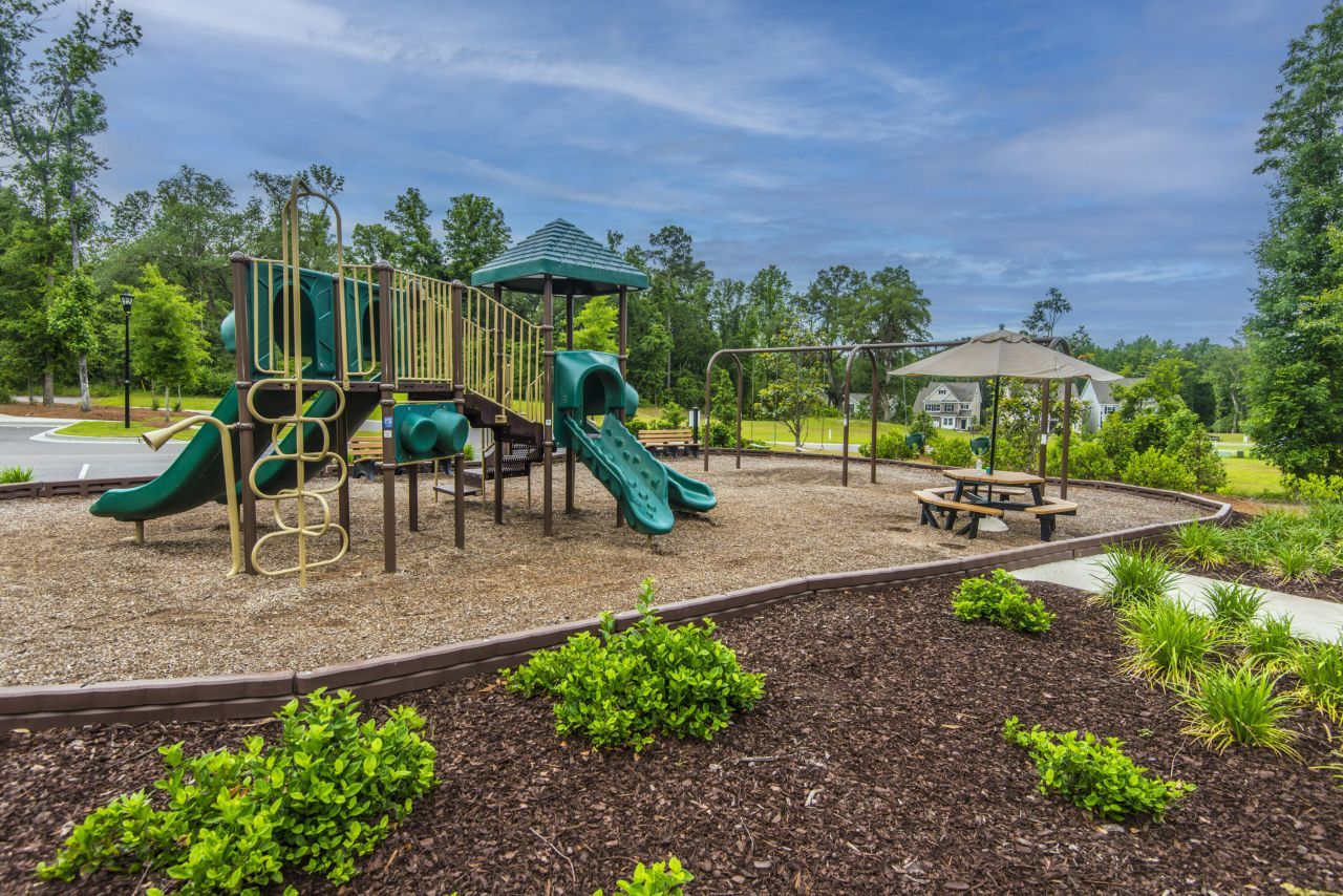 9905 Pin Cherry Court Photo 64