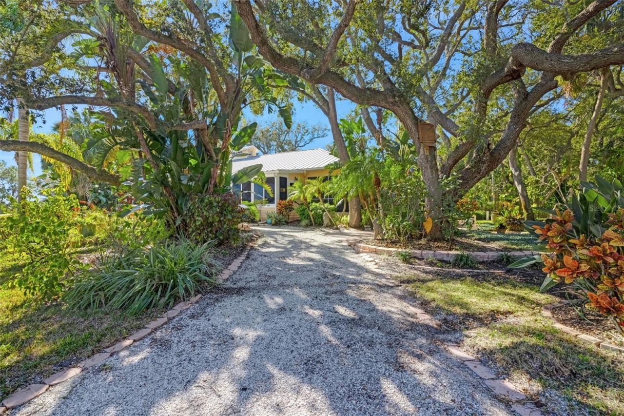 1407 N Bayshore Drive, Safety Harbor, FL 34695 Photo