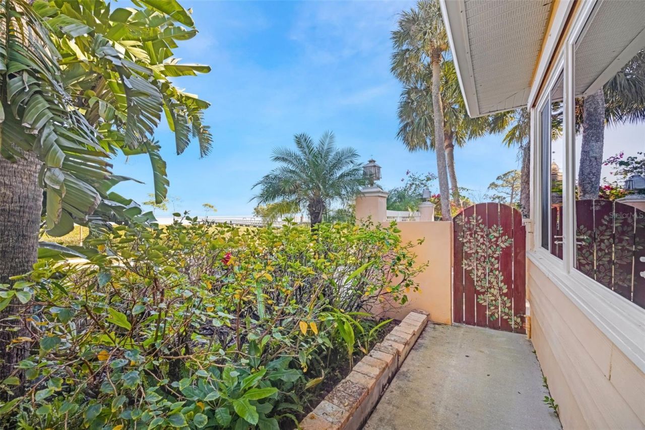 1407 N Bayshore Drive, Safety Harbor, FL 34695 Photo