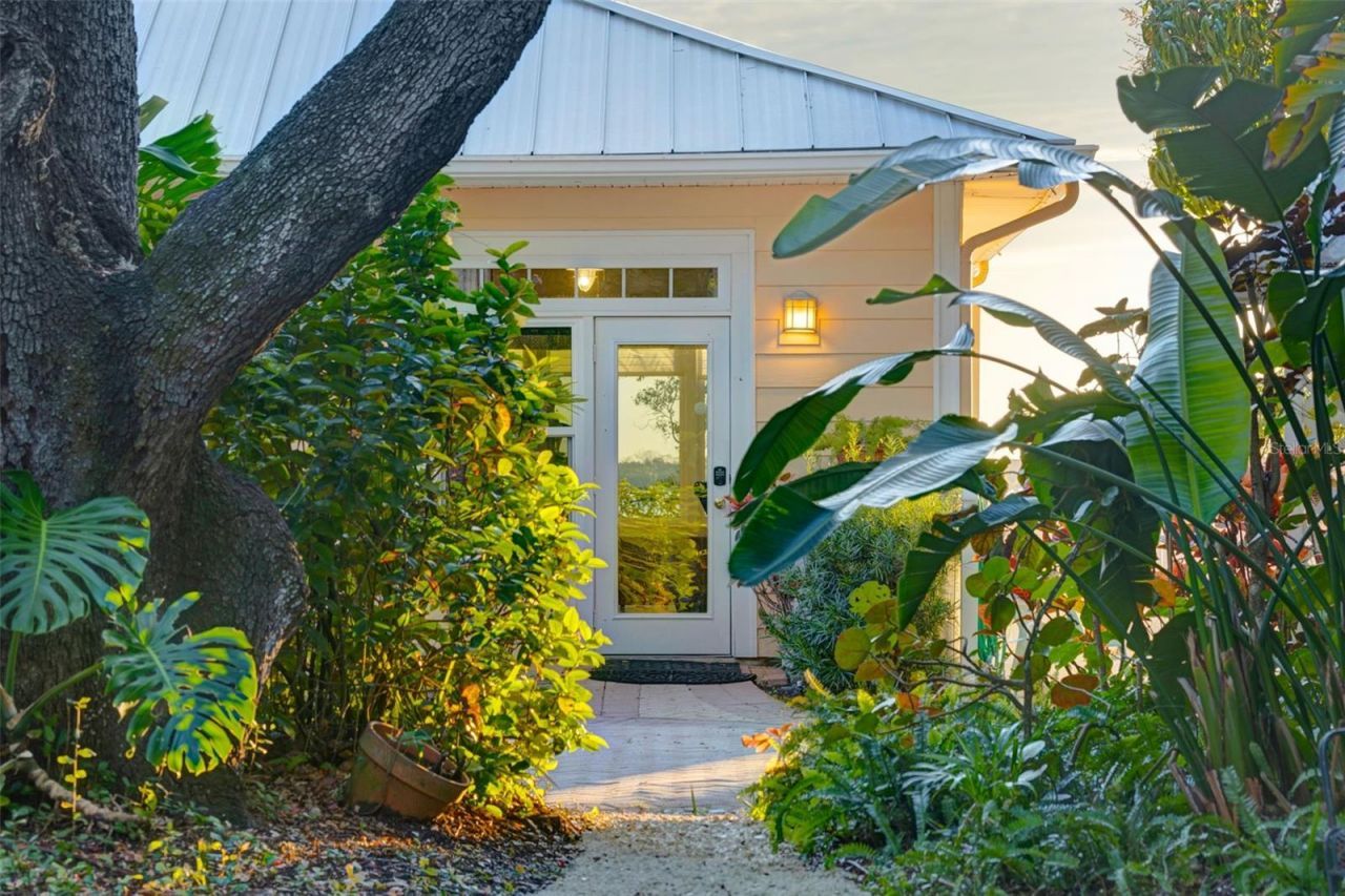 1407 N Bayshore Drive, Safety Harbor, FL 34695 Photo