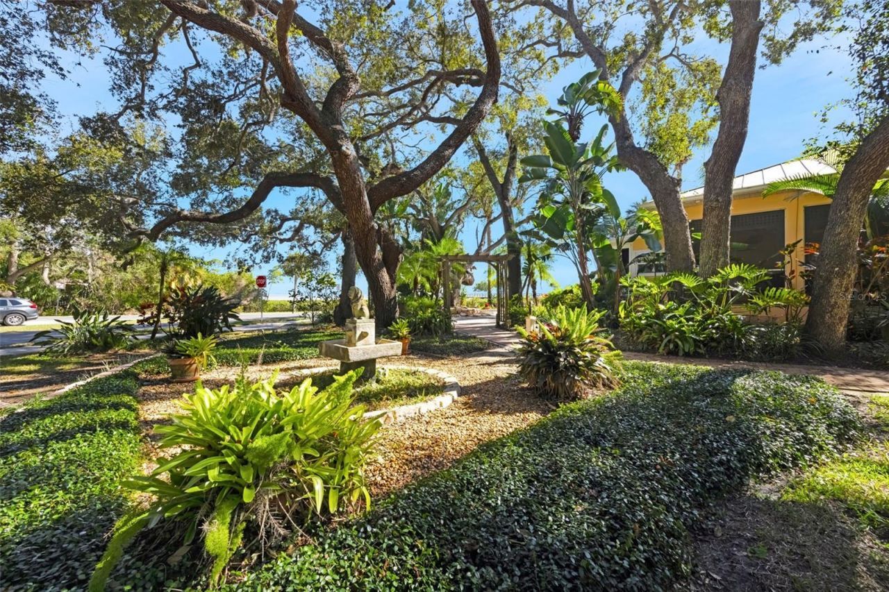 1407 N Bayshore Drive, Safety Harbor, FL 34695 Photo