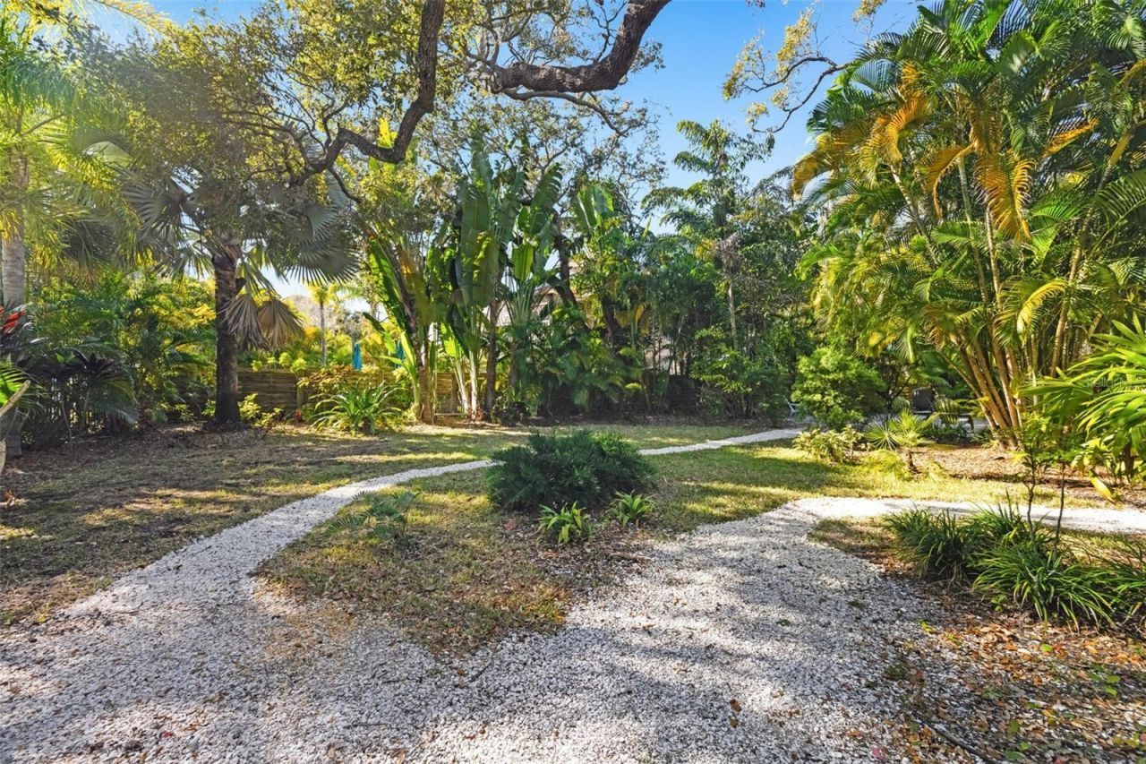 1407 N Bayshore Drive, Safety Harbor, FL 34695 Photo