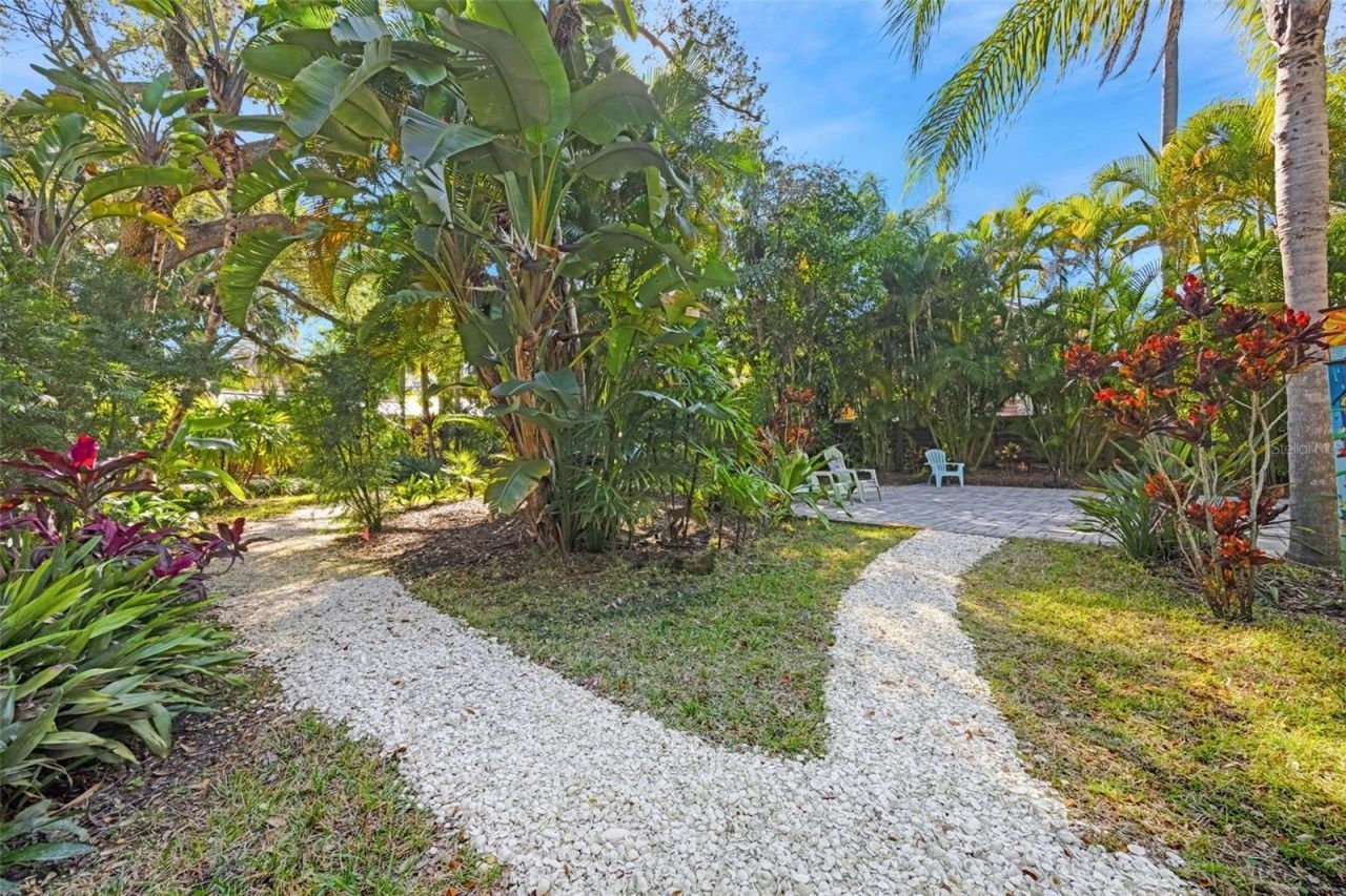 1407 N Bayshore Drive, Safety Harbor, FL 34695 Photo