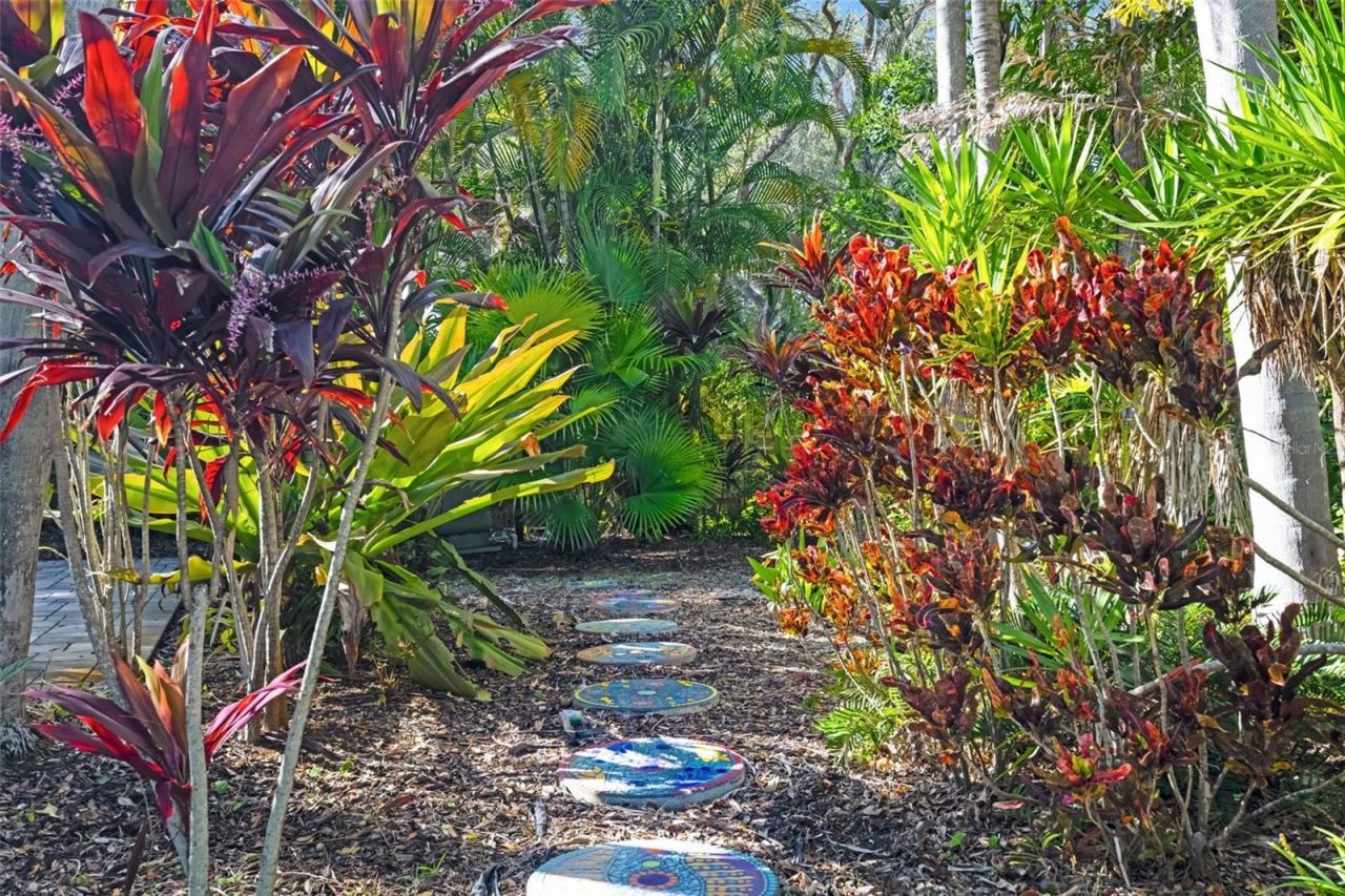 1407 N Bayshore Drive, Safety Harbor, FL 34695 Photo