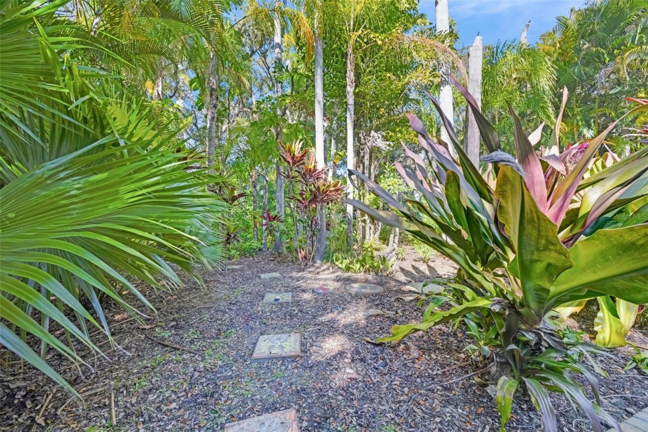 1407 N Bayshore Drive, Safety Harbor, FL 34695 Photo