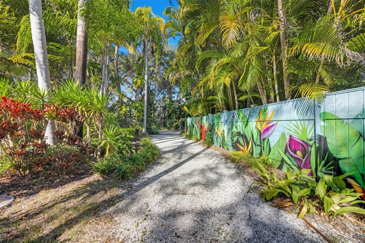 1407 N Bayshore Drive, Safety Harbor, FL 34695 Photo