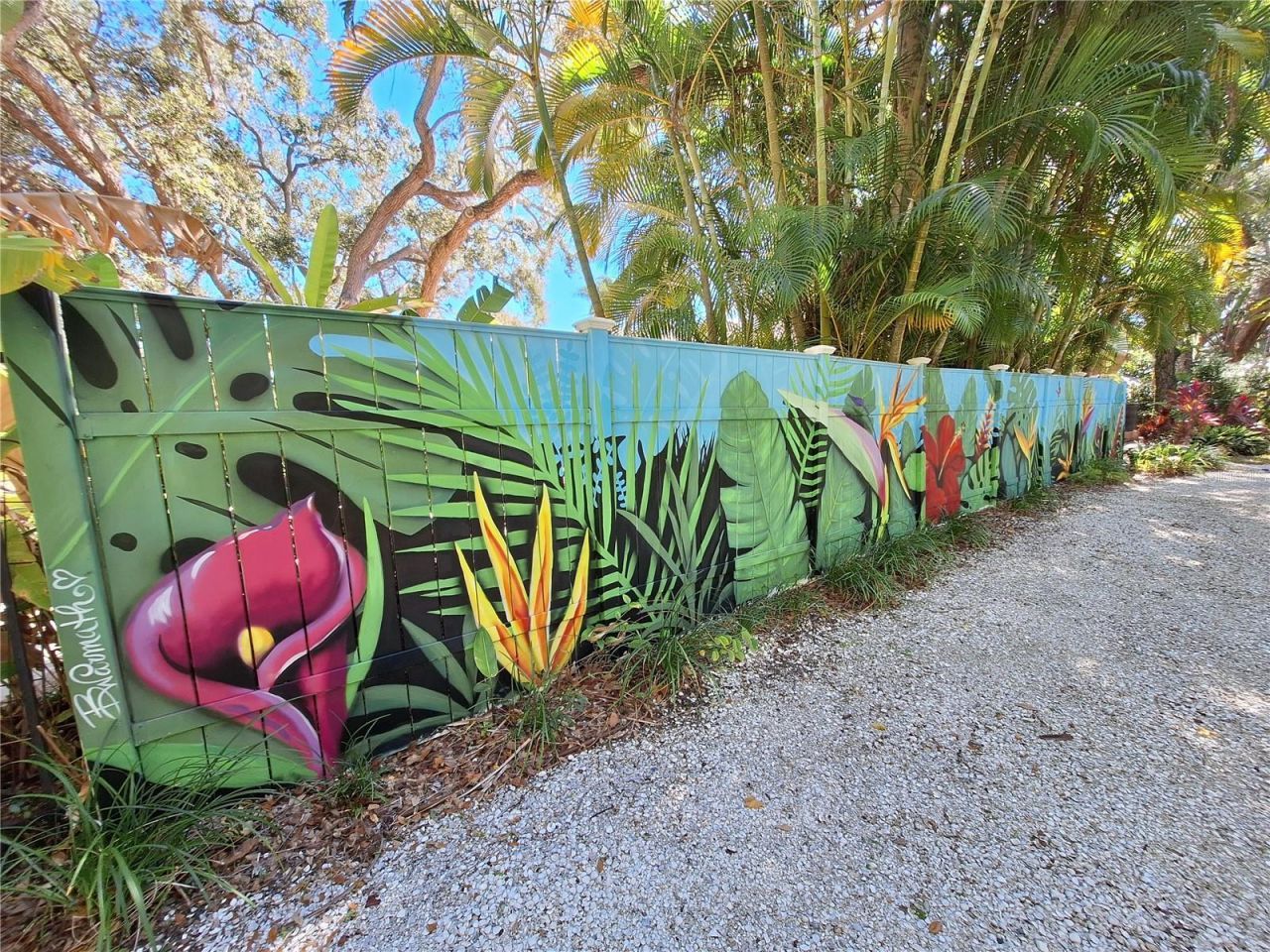 1407 N Bayshore Drive, Safety Harbor, FL 34695 Photo