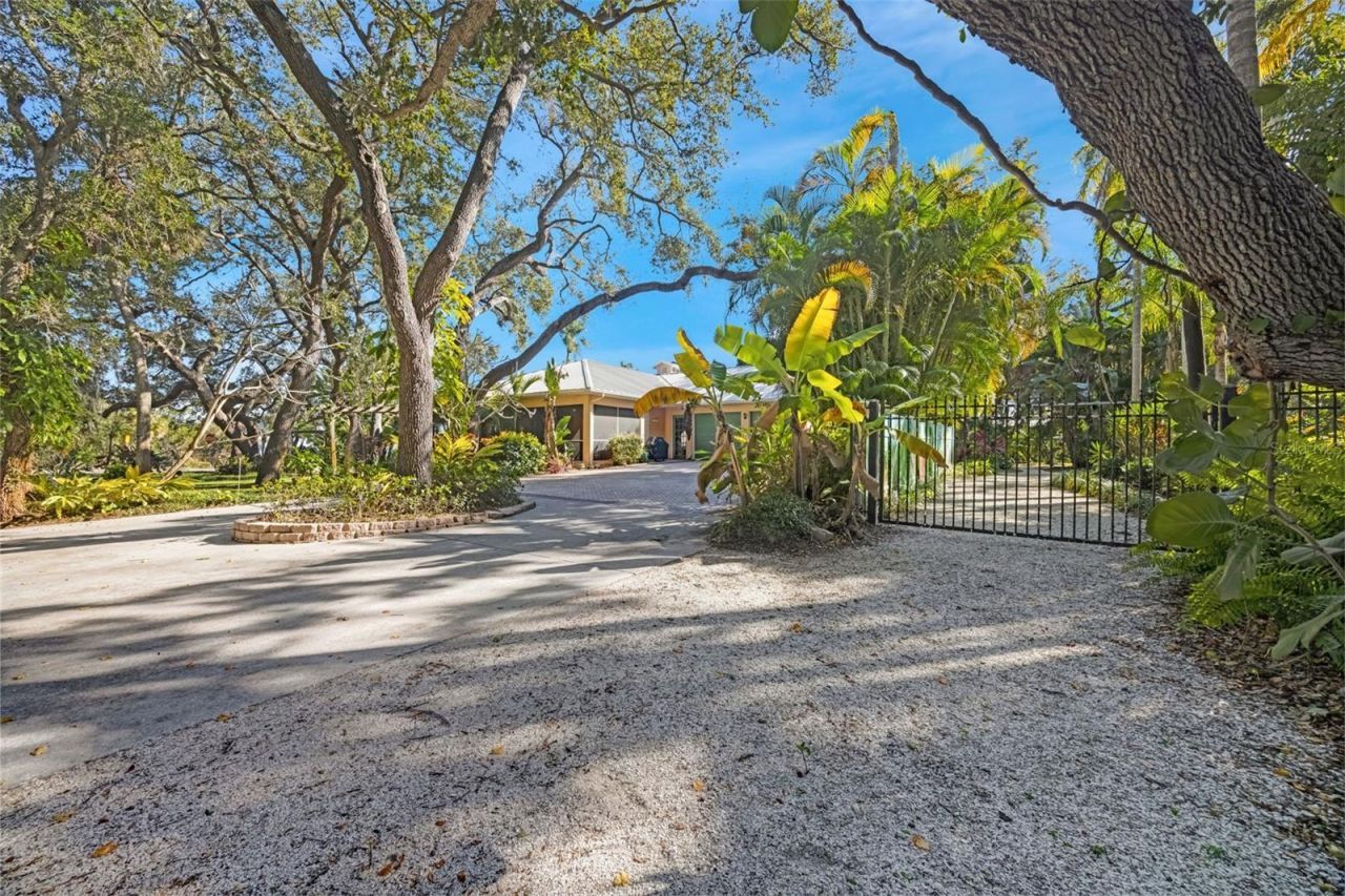 1407 N Bayshore Drive, Safety Harbor, FL 34695 Photo