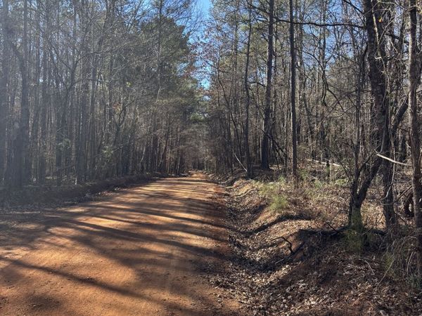 0 Carl Mathis Road, Talbotton, GA 31827