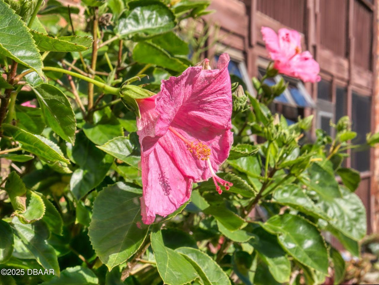 3800 Saxon Drive, Unit 250, New Smyrna Beach, FL 32169 Photo