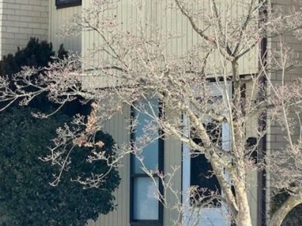 923 JAMESTOWN ROAD, EAST WINDSOR, NJ 08520