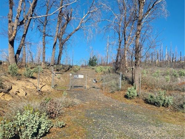 81 Green Cedar, Berry Creek, CA 95916