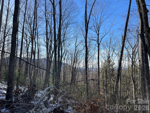 TBD (Lot 8) Woodland Ridge, Lansing, NC 28643