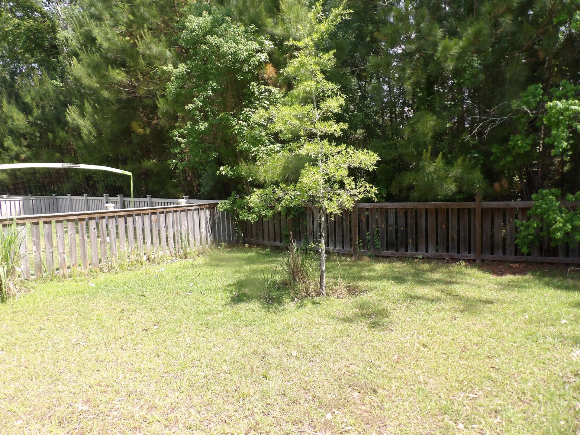 114 Brant Drive Photo 16