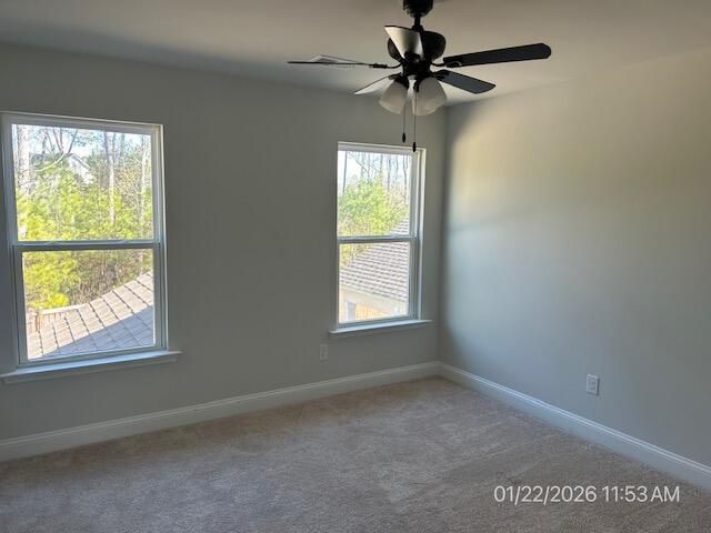 114 Brant Drive Photo 9