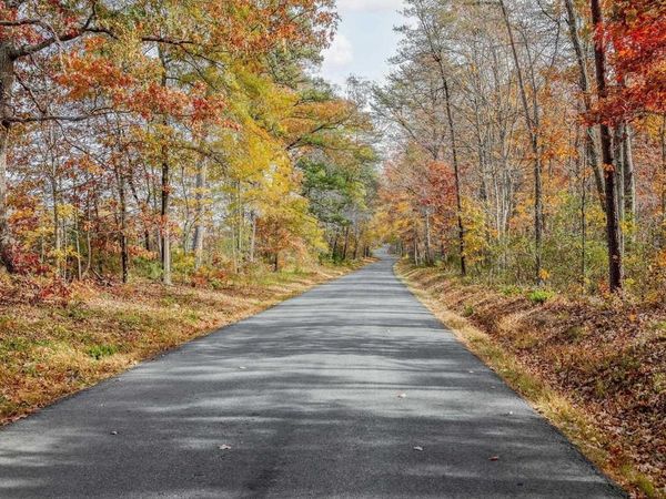 Lot 4 COLES ROLLING RD, SCOTTSVILLE, VA 24590